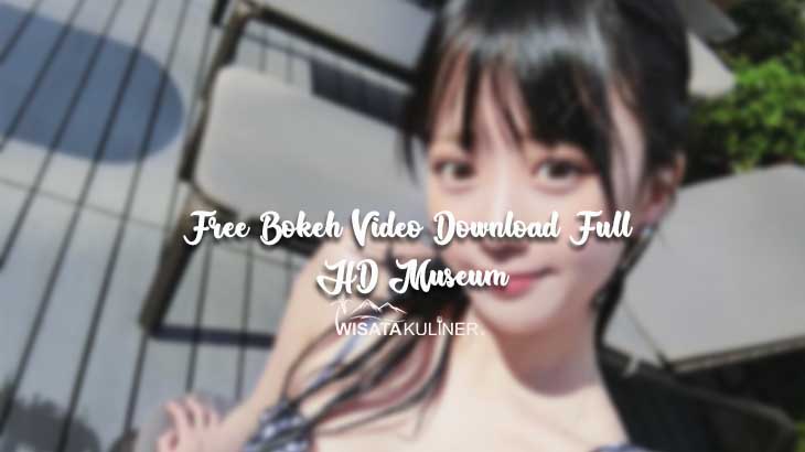 Free Bokeh Video Download Full HD Museum