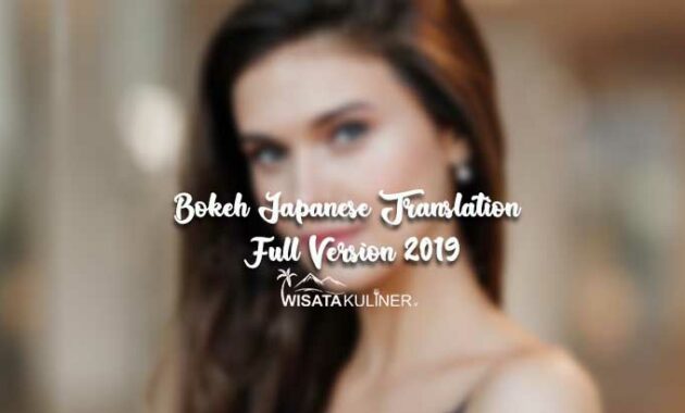Bokeh Japanese Translation Full Version 2019