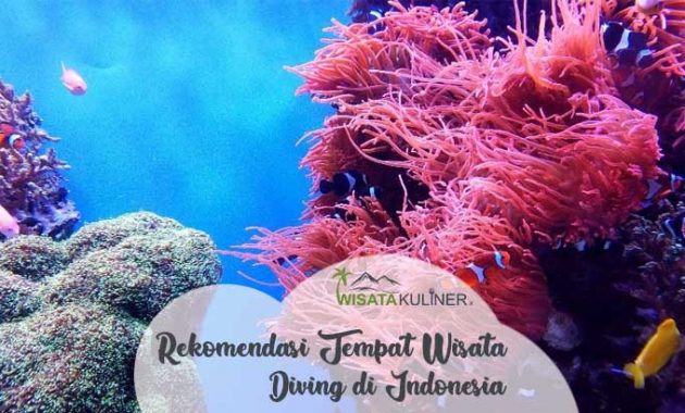 tempat diving di indonesia